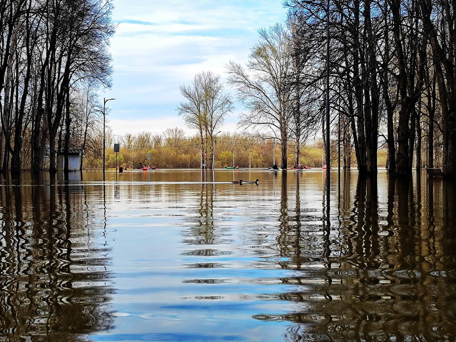Река вышла из берегов