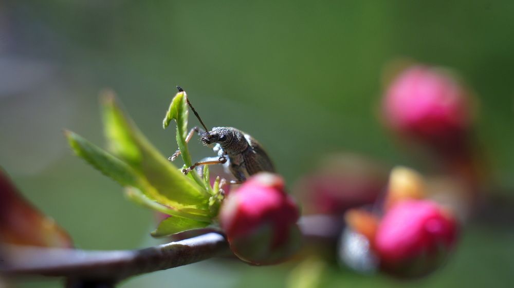 Фотография автора Сергей Цыганов