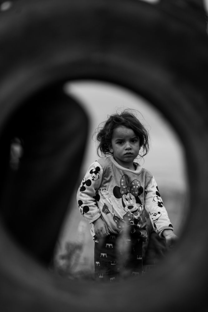Фотография автора Mohamed Rezaiguia