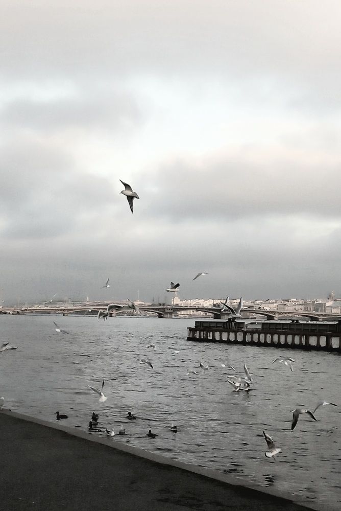 Photograph by Анастасия Останина