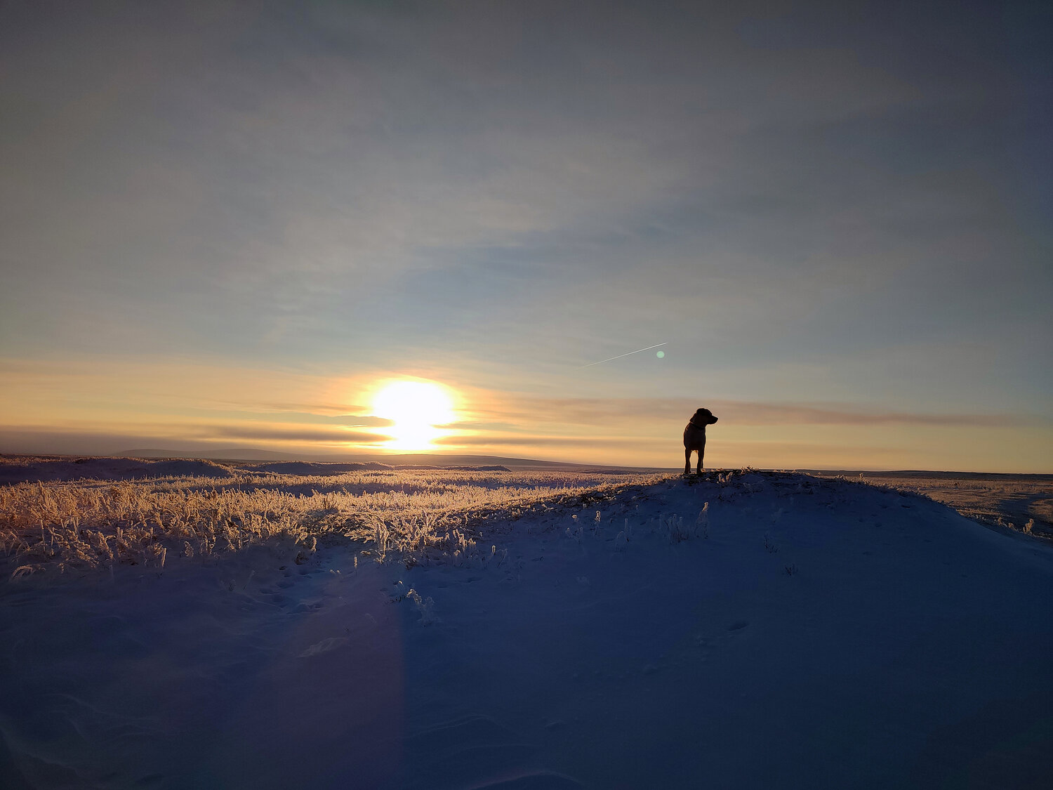 Photo #13388610