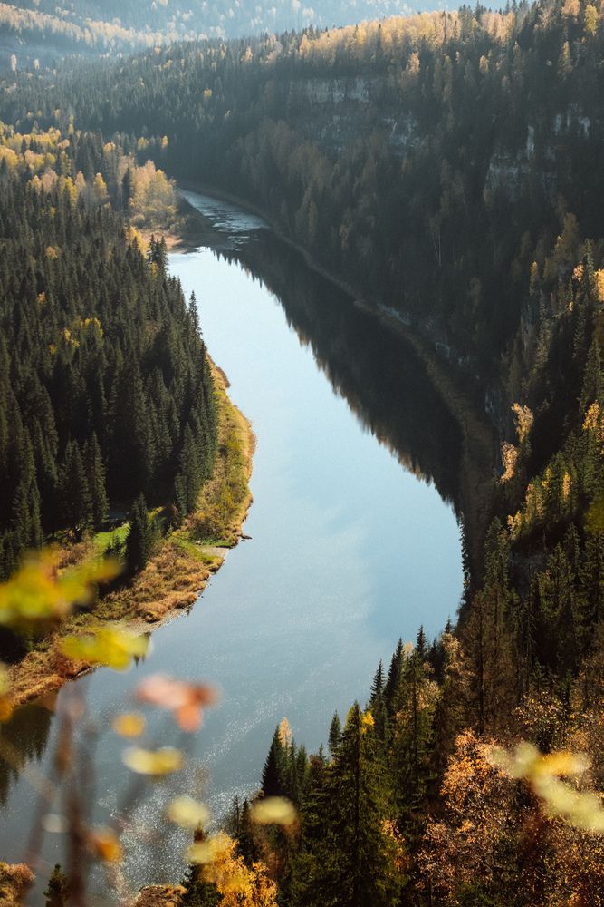 Фотография автора Дарина Чечулина