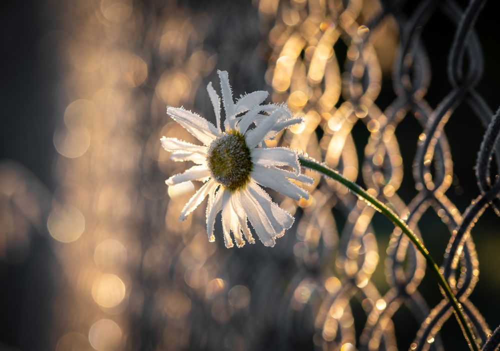 Photograph by Agita Leimane