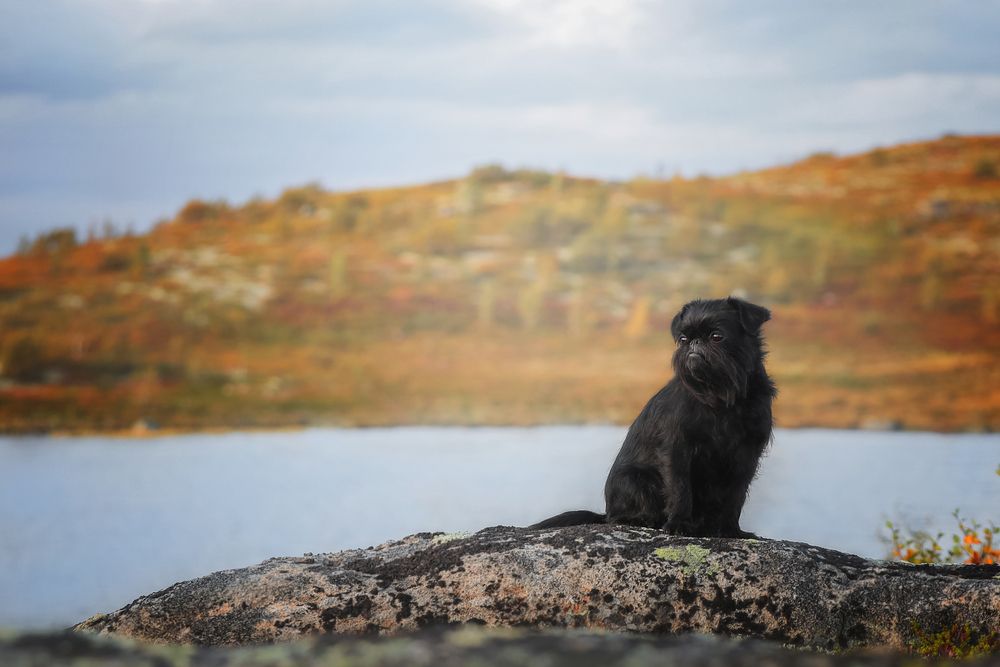 Photograph by Лена Алябьева