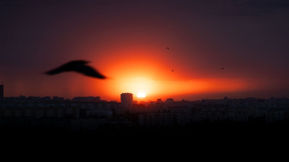 Фотография автора Максим Ремизевич