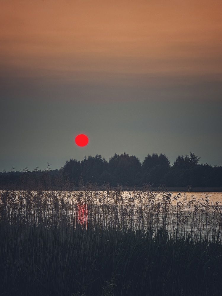 Photograph by Светлана Долганова