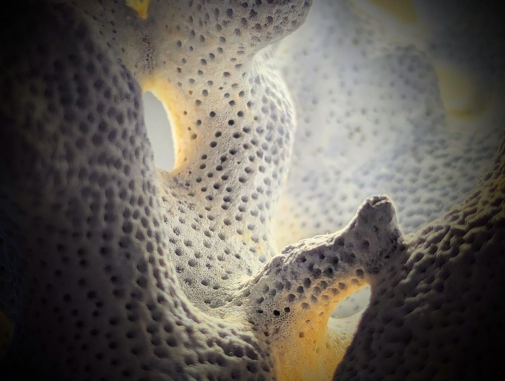Photograph by Александр Айзенштадт