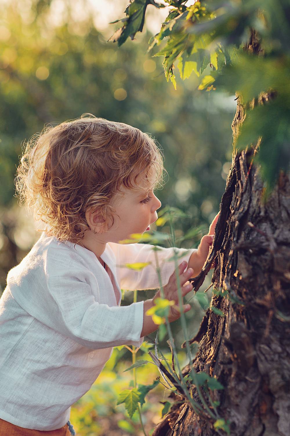 Фотография #13388695