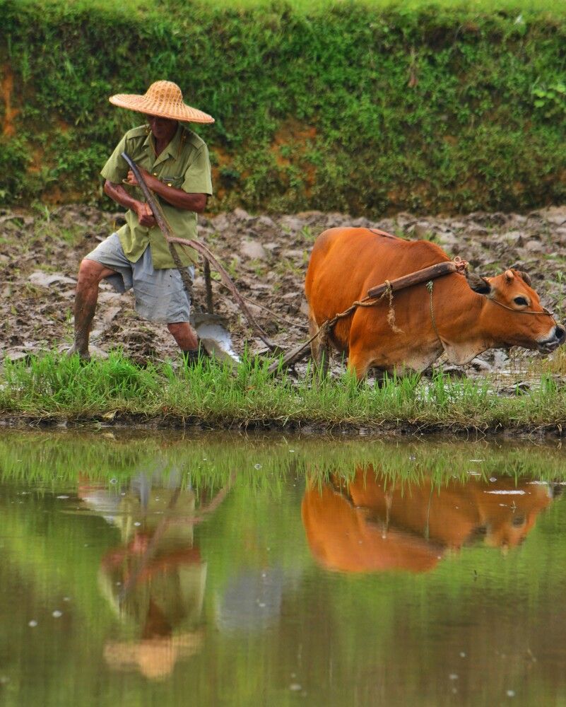 Photograph by Ольга Садохова