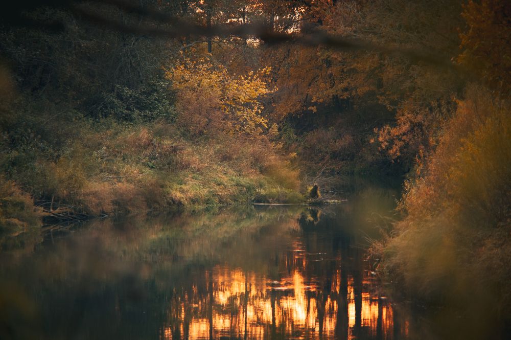 Photograph by Елена Владимировна