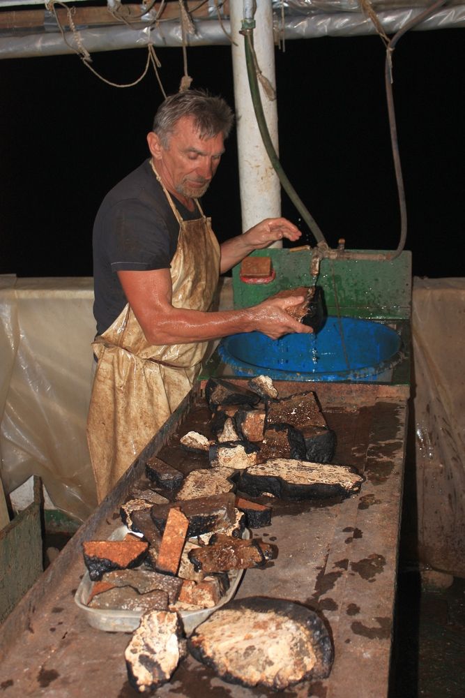 Фотография автора Сергей Христинич