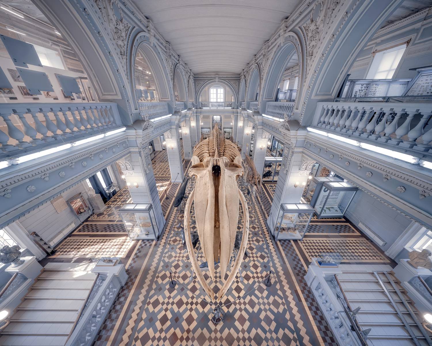 Фотография #13388812