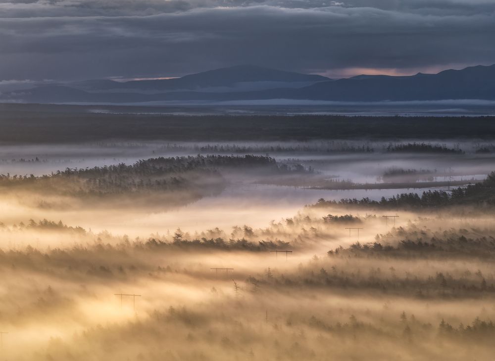 Photograph by Наталия Полякова