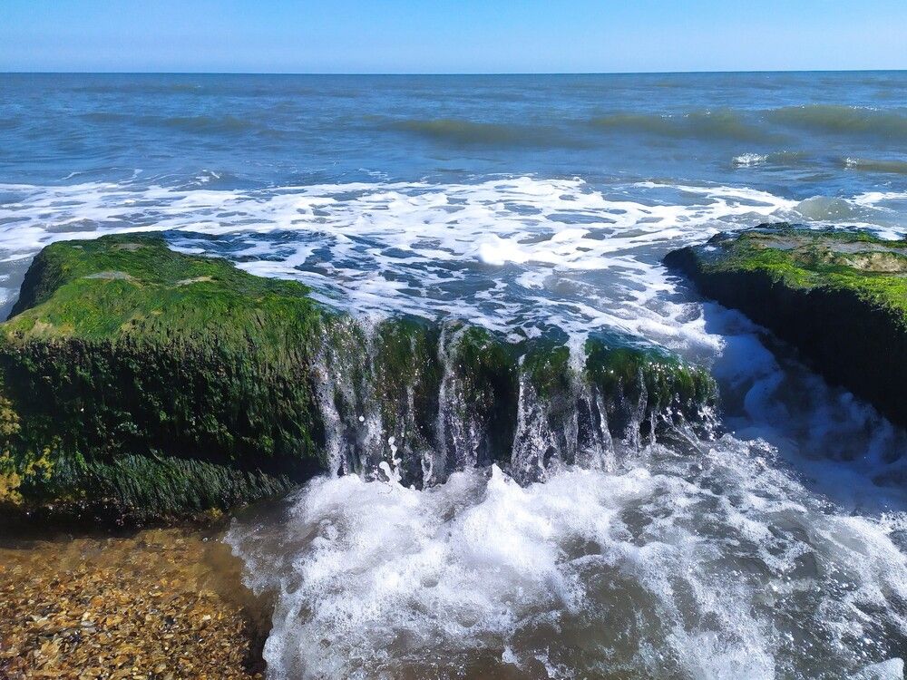 Photograph by Тамара Смирнова