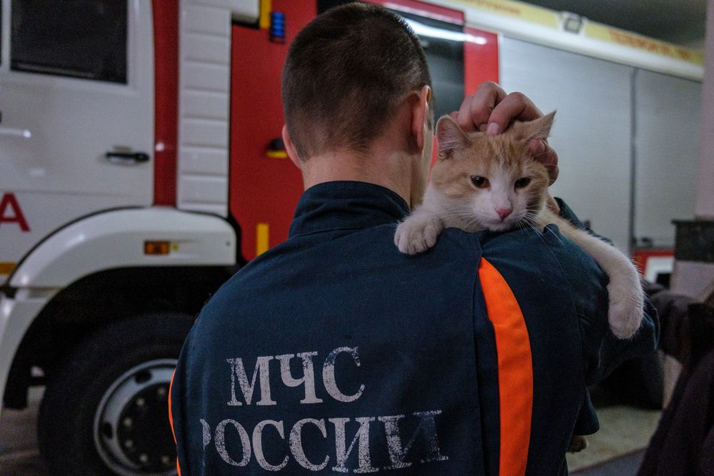 Photograph by Булат Салихов