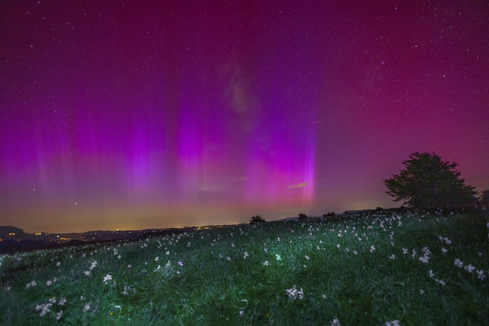When the night is colored