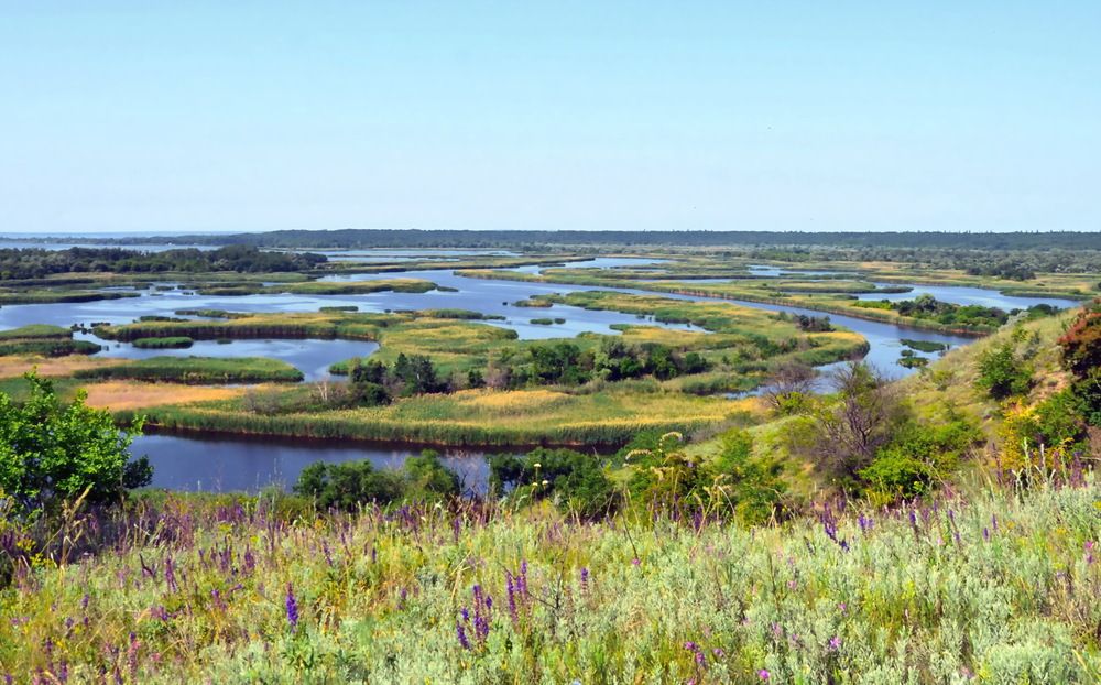 Фотография автора ВЛАДИМИР Тертышник
