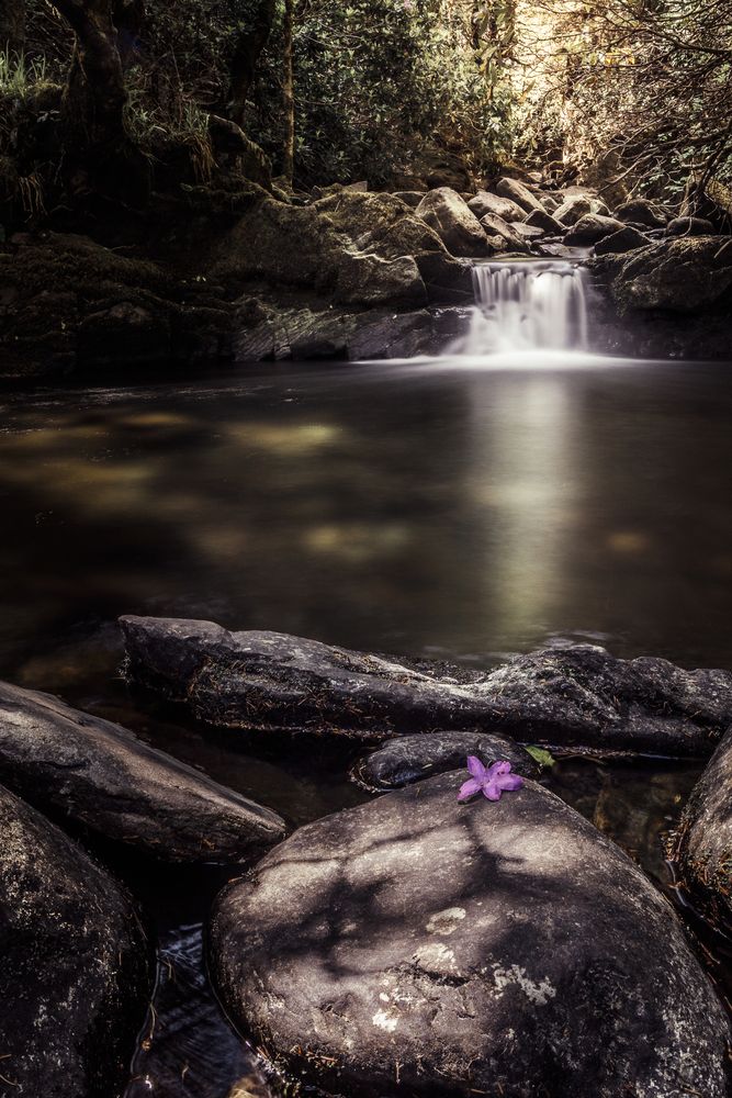 Photograph by Jose Maria Picon