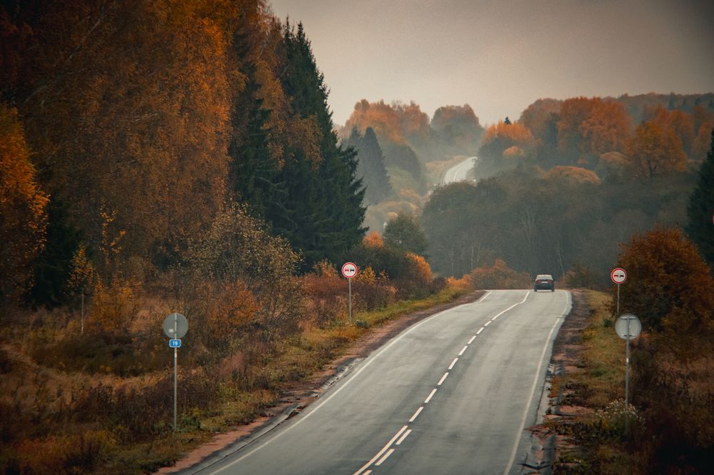 Photograph by Елена Владимировна