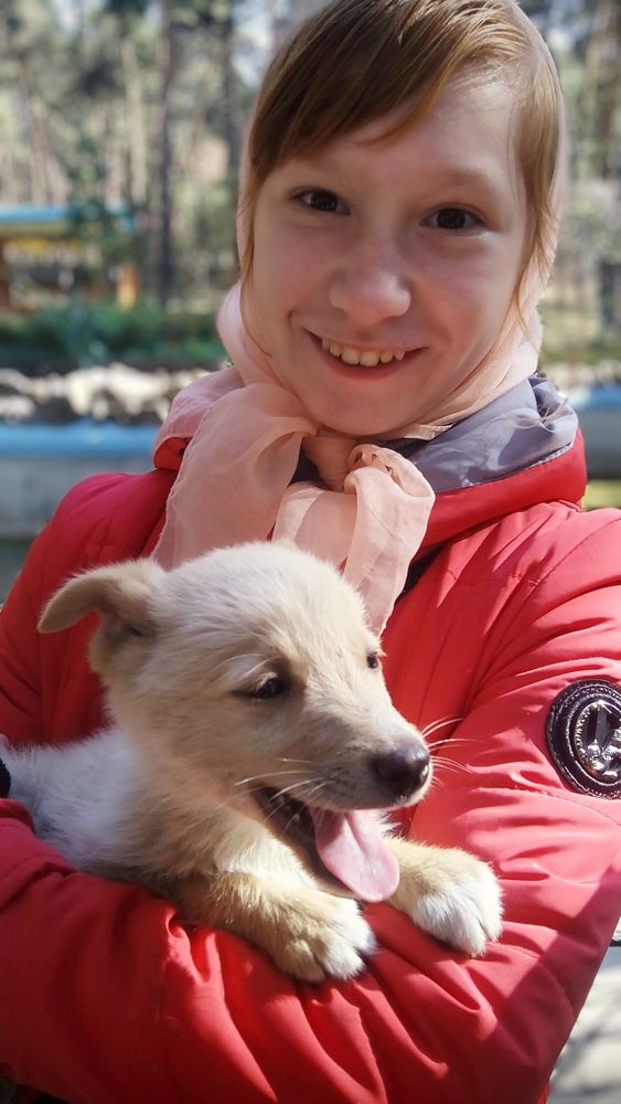 Мама, папа, возьмём его домой?!...