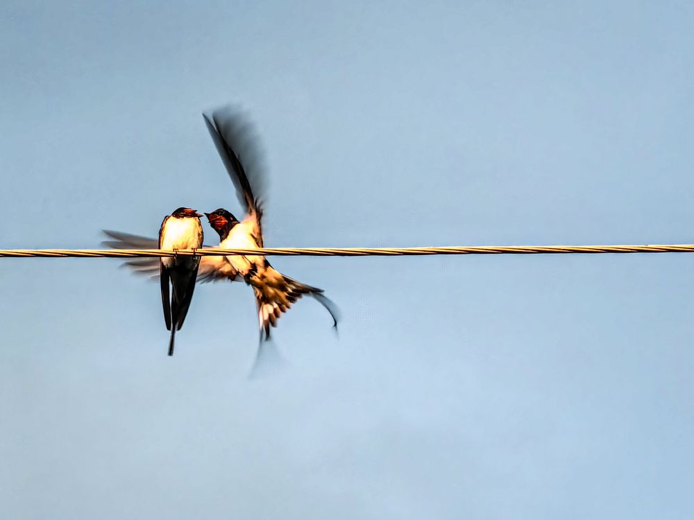 Photograph by Елена Макеева