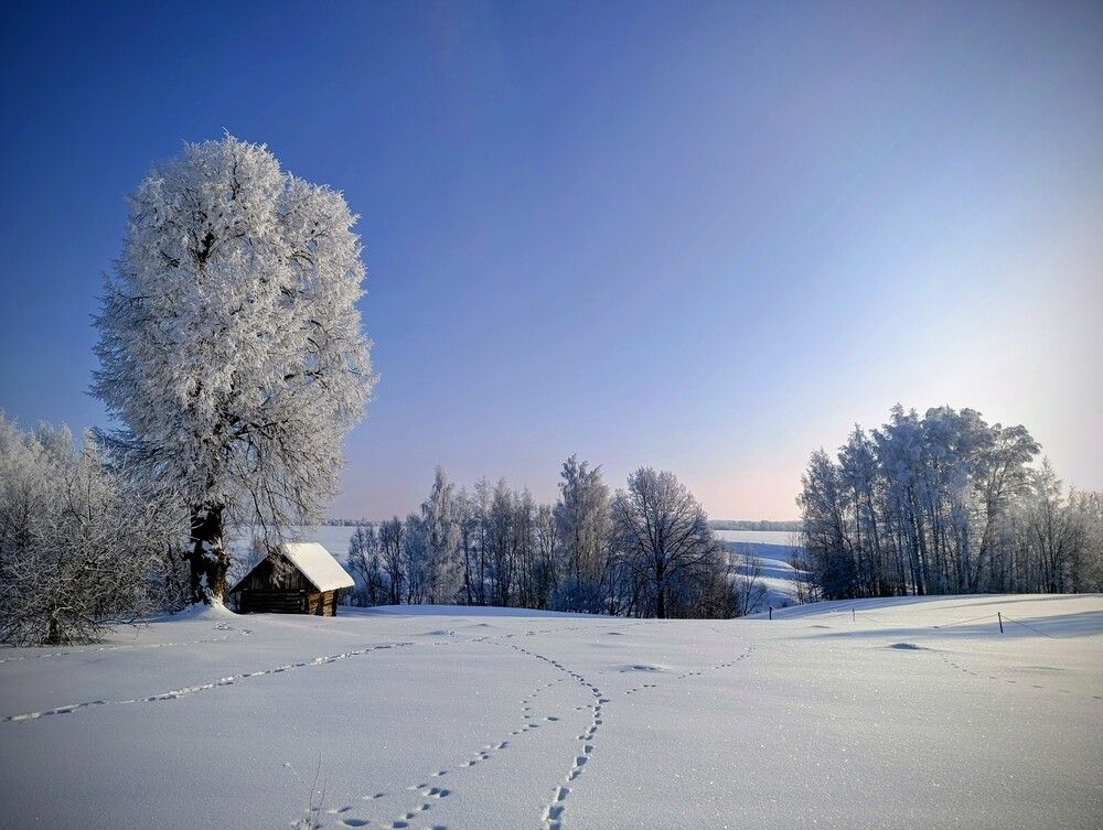 Photograph by Юрий Гордеев