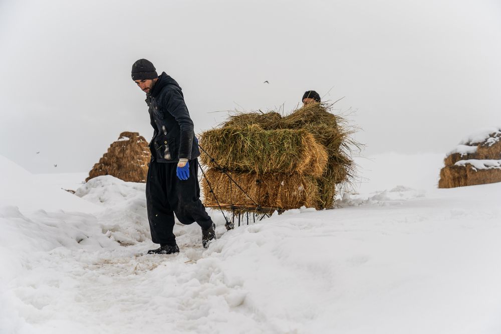 The Breadwinner’s Trail