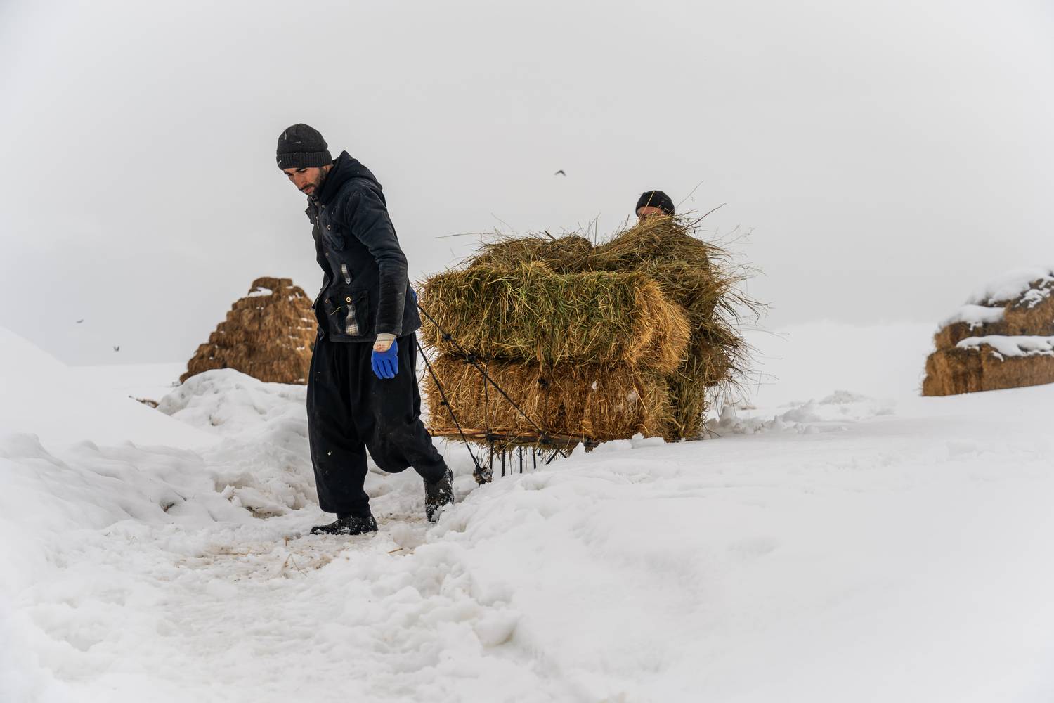 The Breadwinner’s Trail