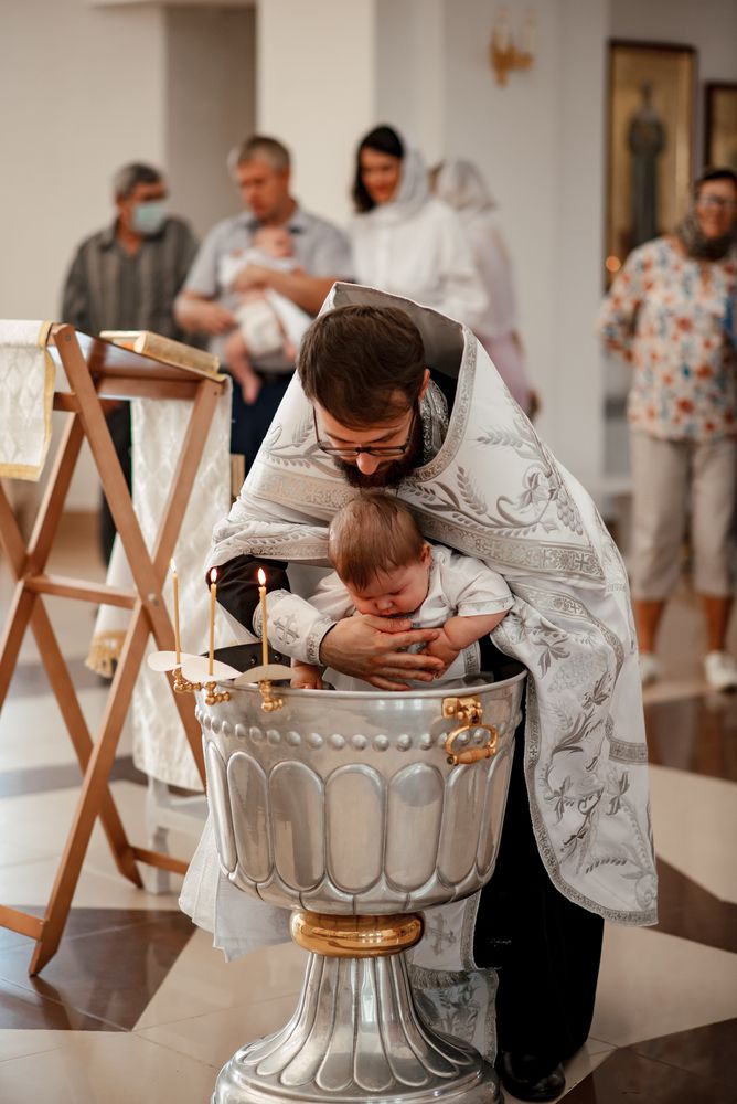 Фотография автора Елена Владимировна