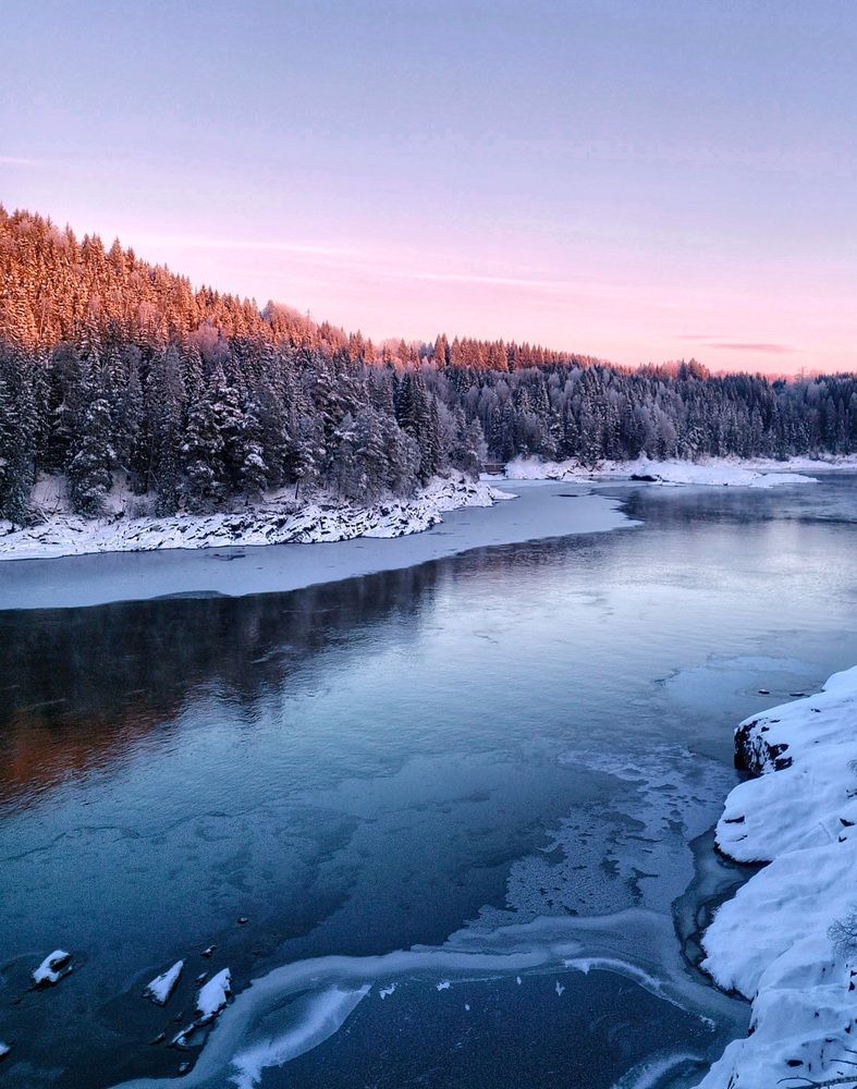 Фотография автора Alina Filimonova