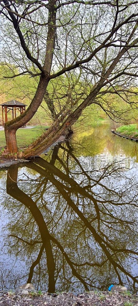 Photograph by Ольга Булавкина