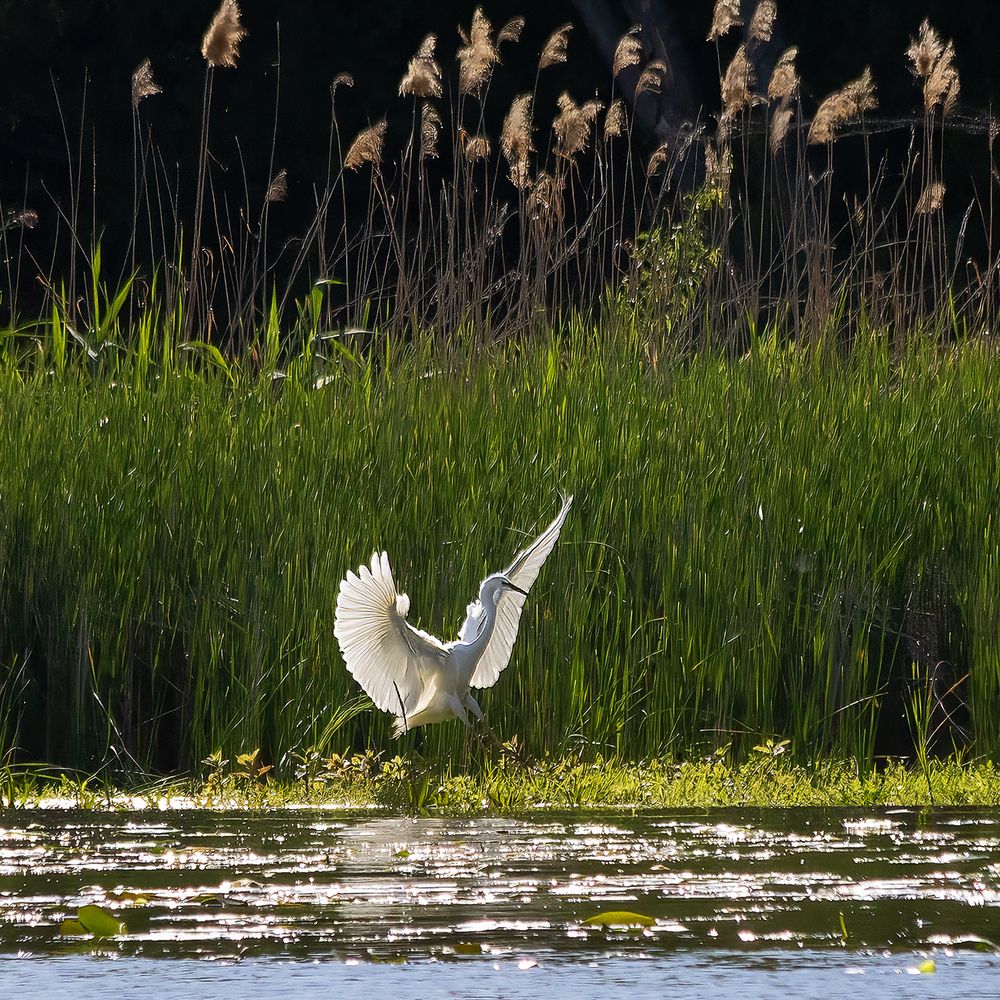 Photograph by Вячеслав Кровопусков