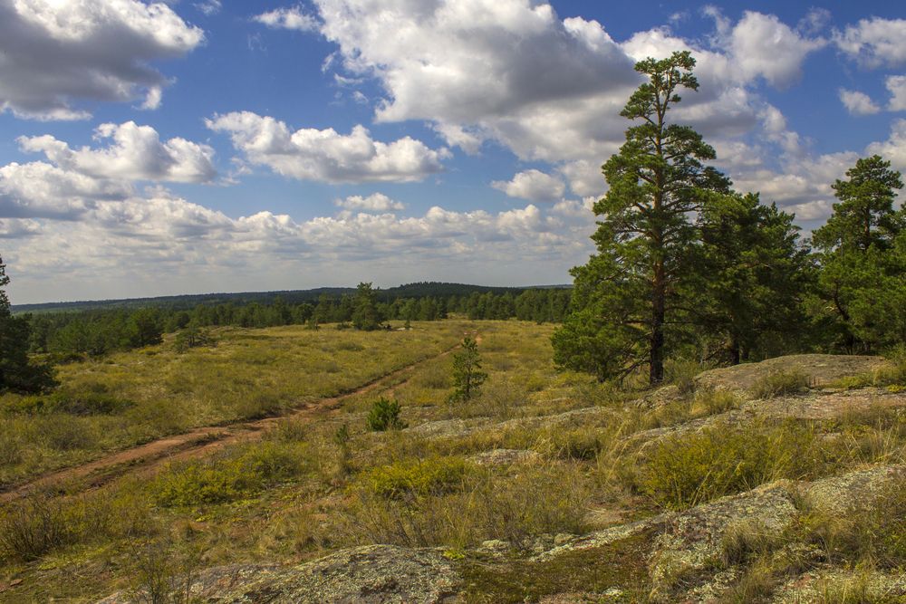 Фотография автора Вячеслав Булатов