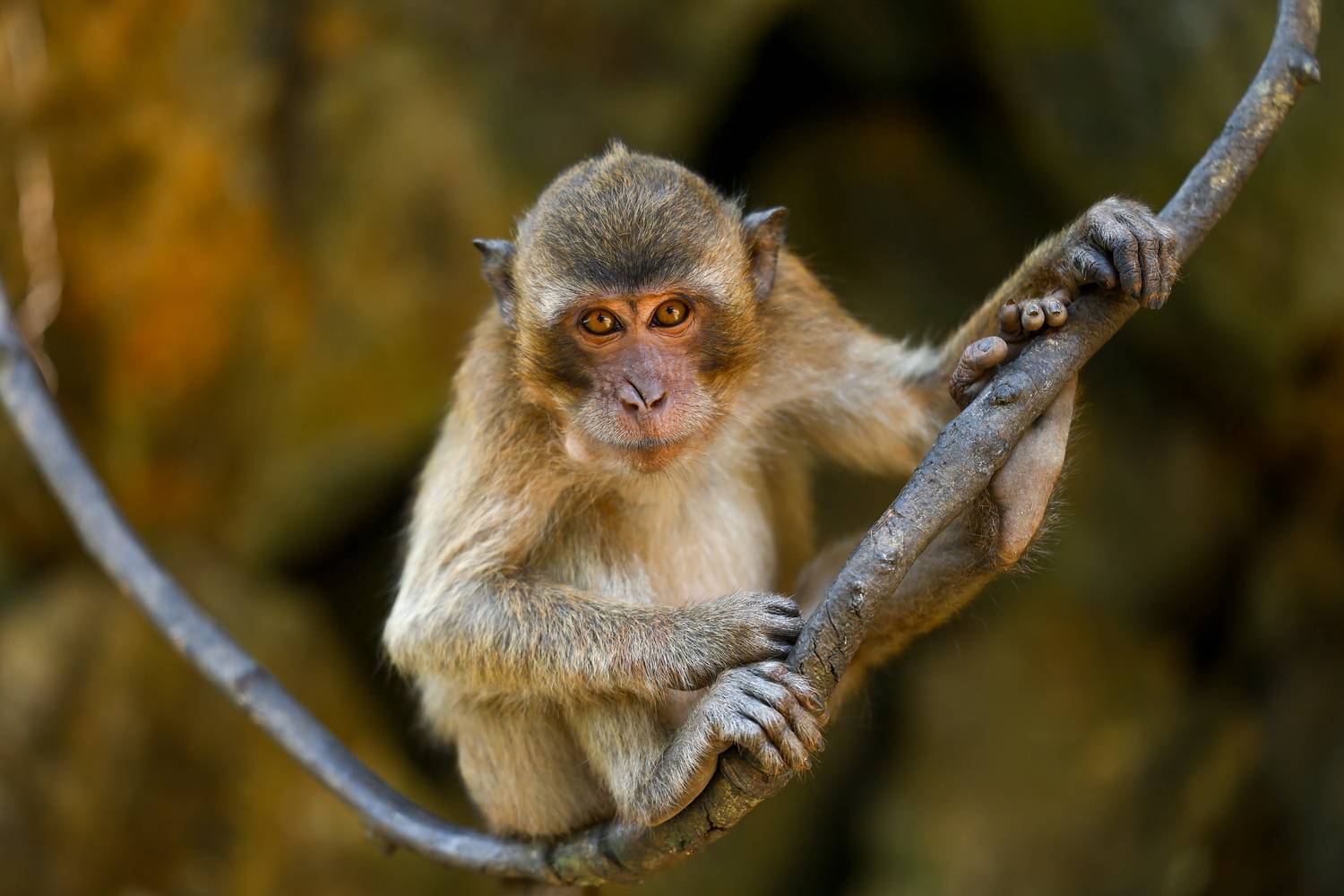 Фотография #13389462