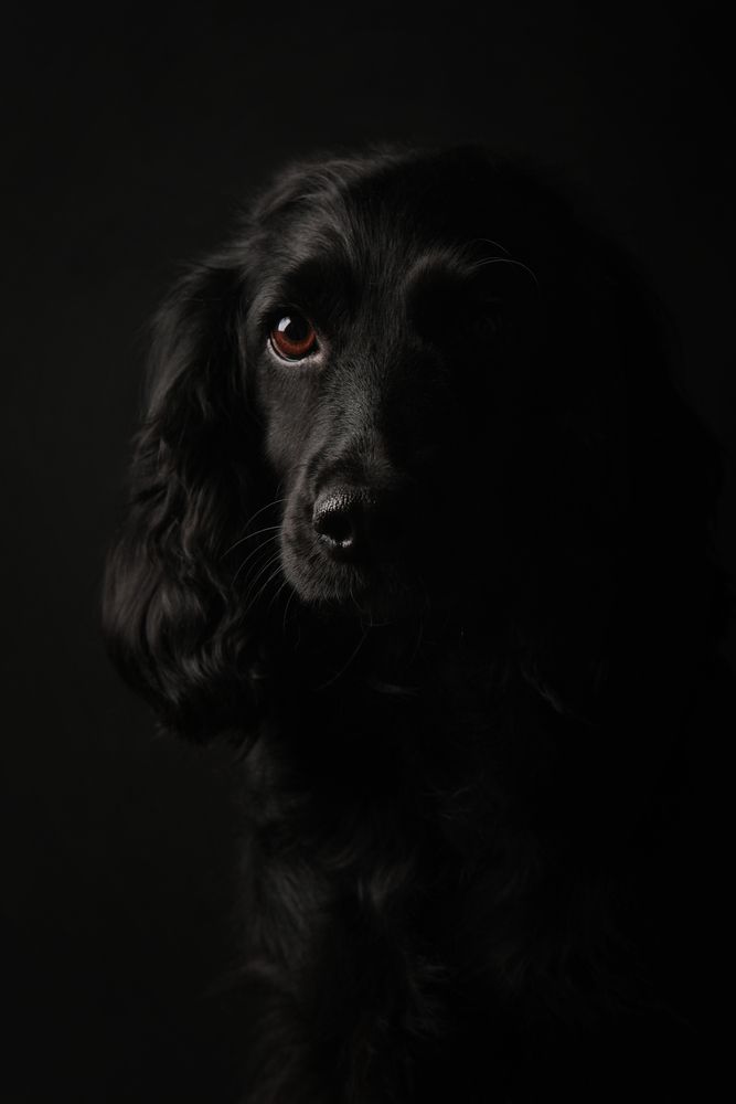 Photograph by Юлианна Митрофанова