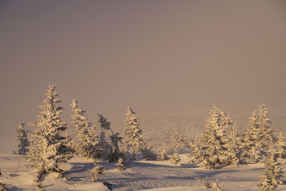 Photograph by Елена Перминова