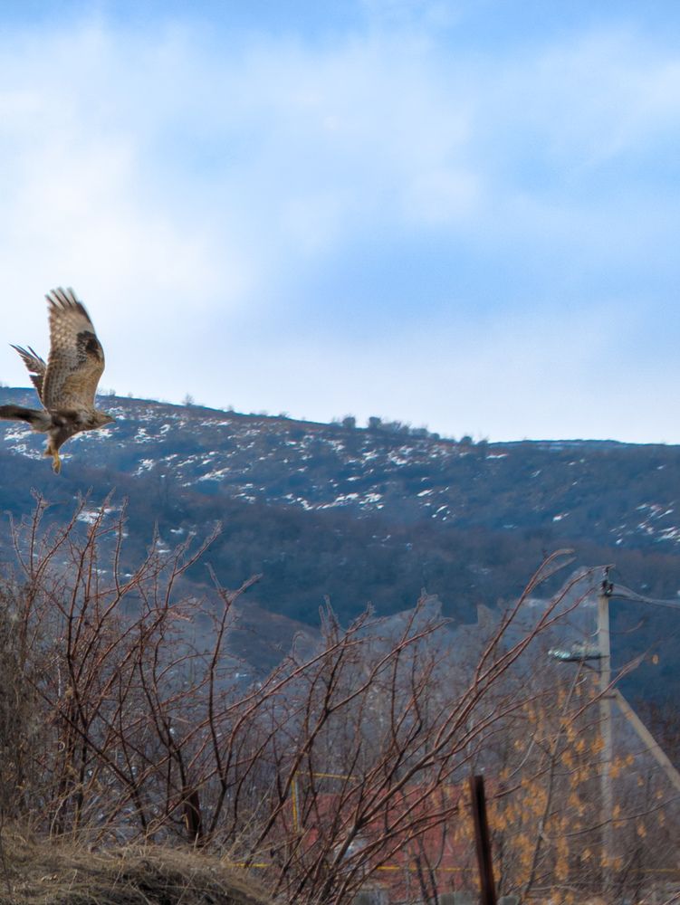 Photograph by Евгений Слепухин