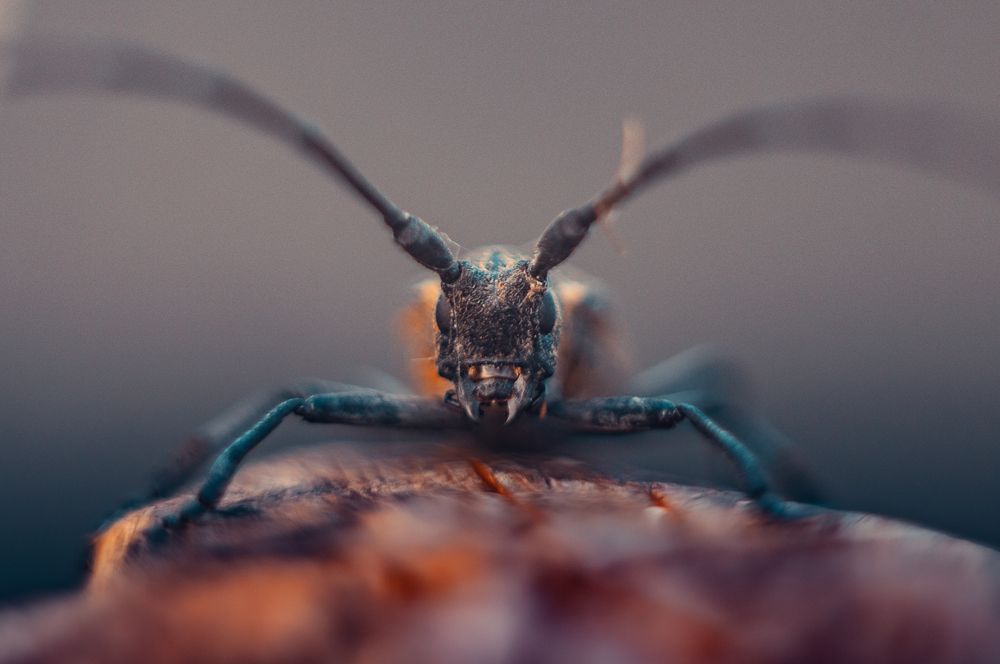 Photograph by Алексей