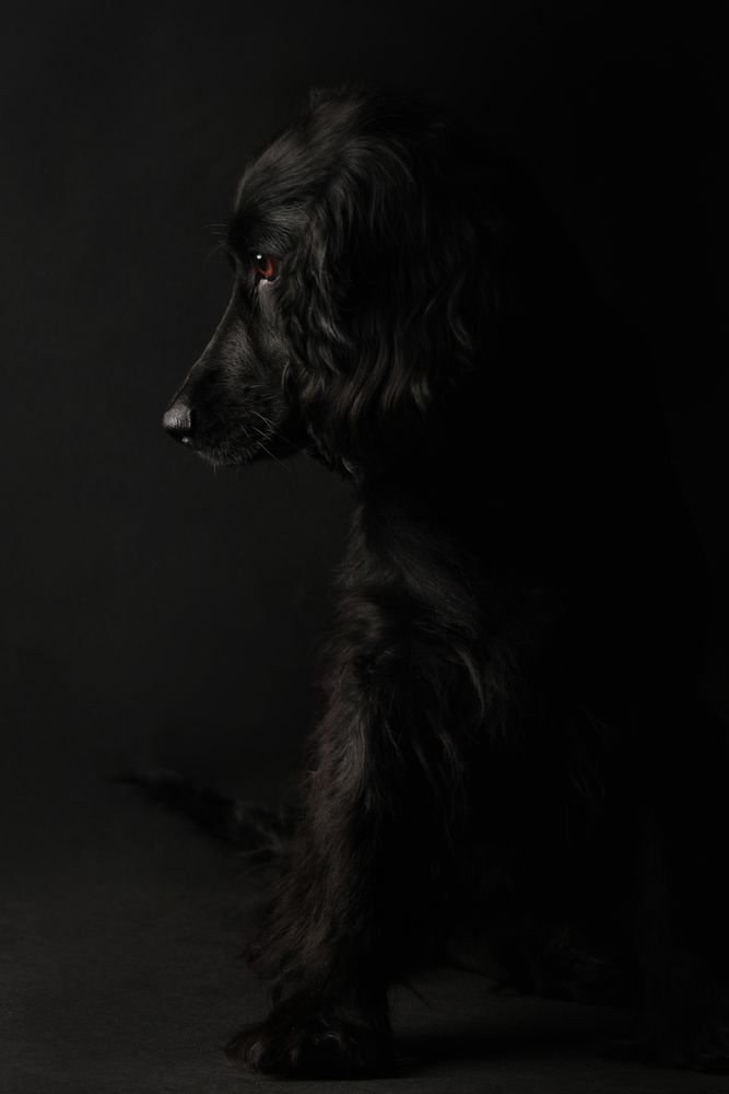 Photograph by Юлианна Митрофанова