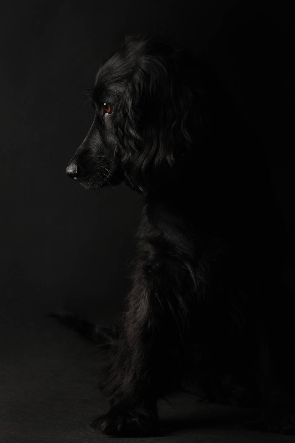 Фотография #13389686