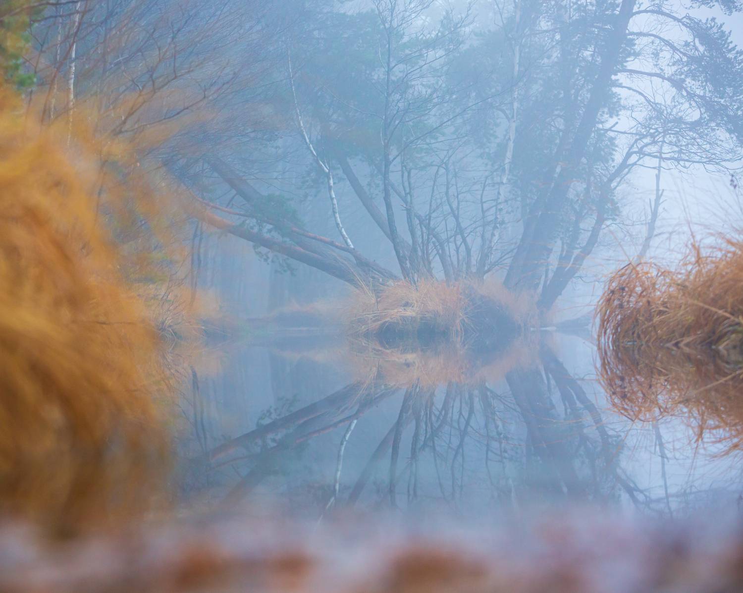 Фотография #13389715