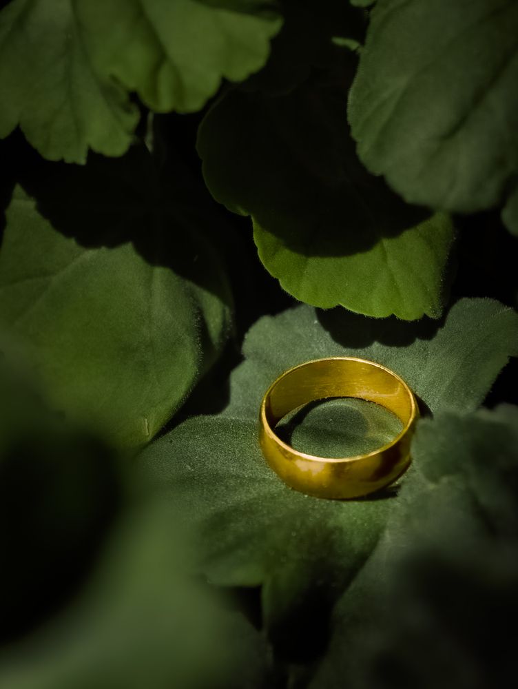Photograph by Nataly Gusarova