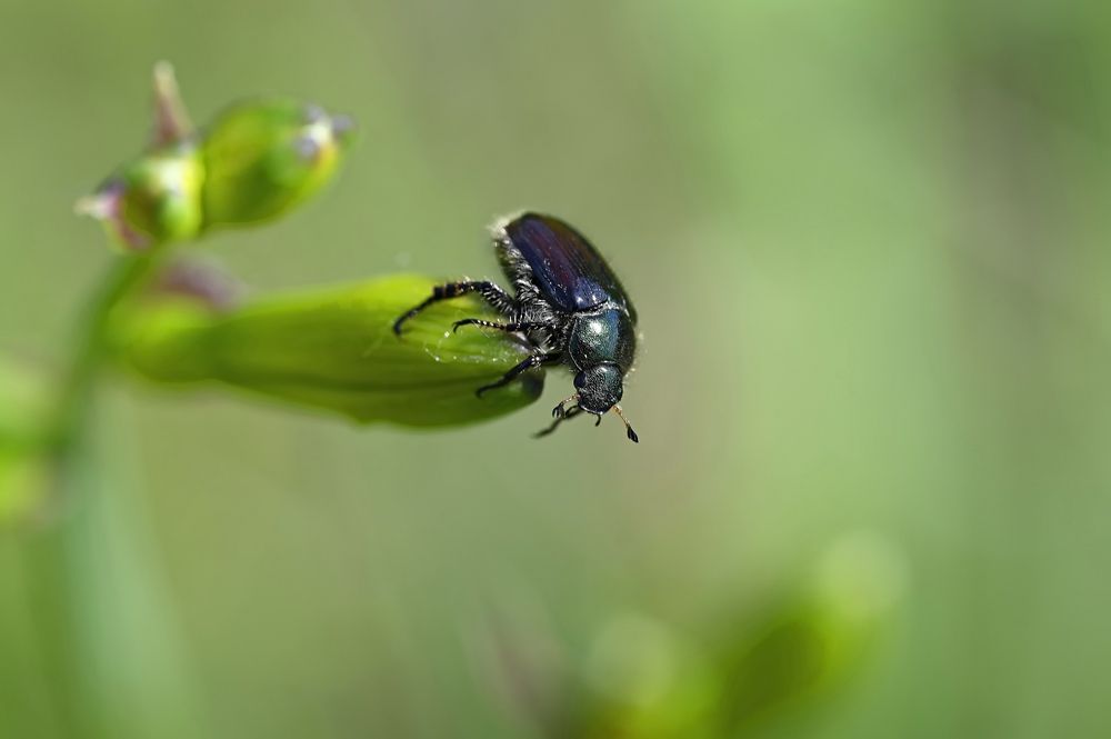 Photograph by Ольга Воронова
