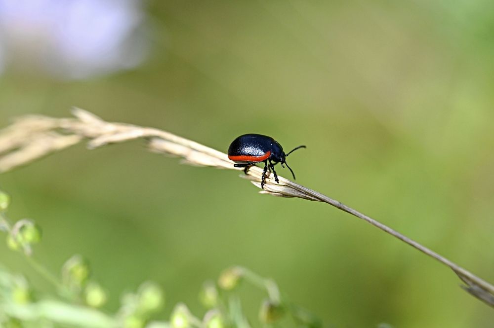 Photograph by Ольга Воронова