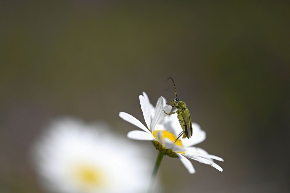 Photograph by Ольга Воронова