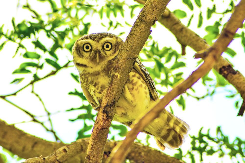 Photograph by Bilal Ahmad Khaki