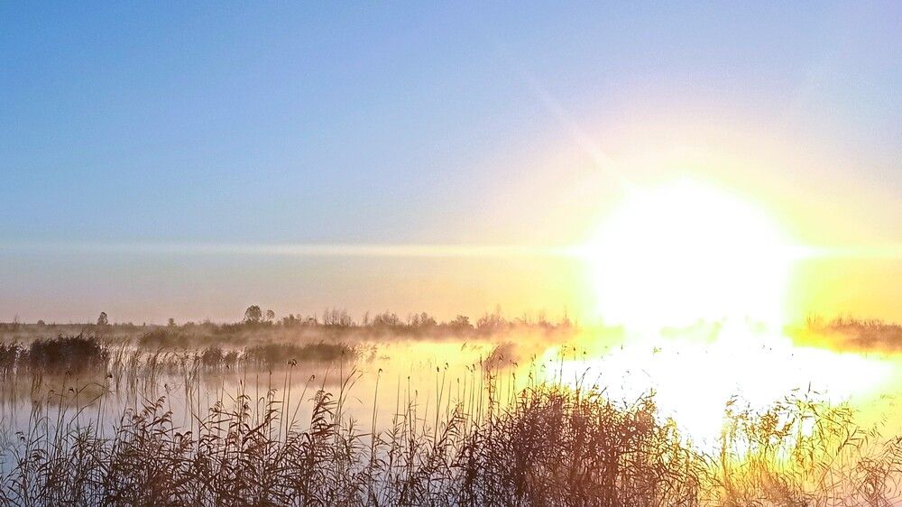 Photograph by Михаил Тиханович