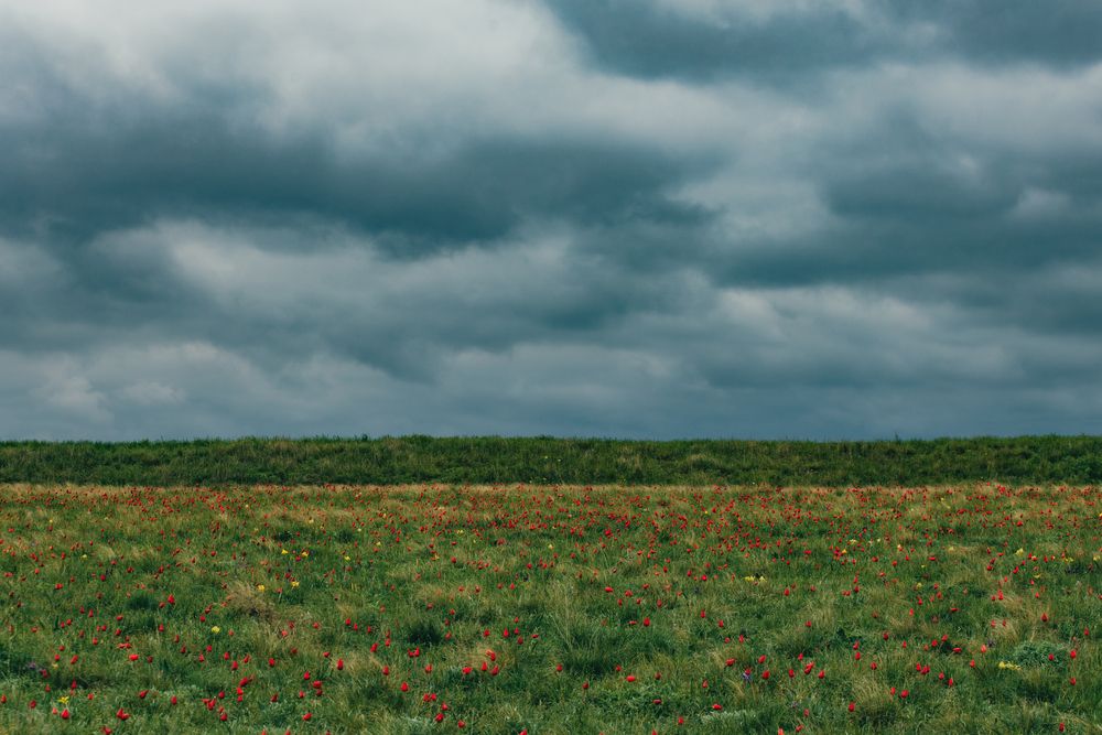 Photograph by Artyom Panfilov
