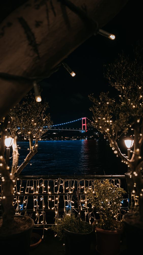 Photograph by Ali Heydarian