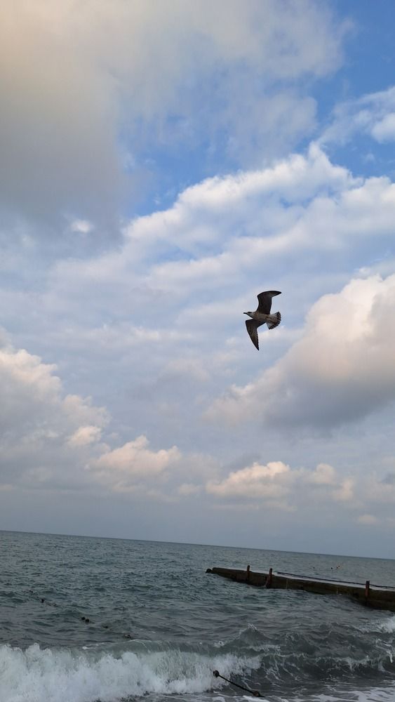 Photograph by Надежда Васильевна